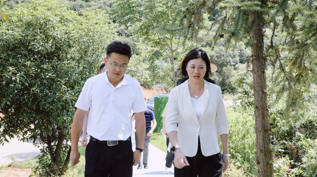 赖晓智到南洲镇督导安全生产、防汛抗旱等重点工作