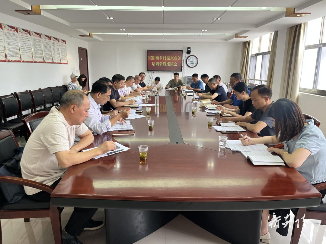 霞阳镇召开乡村振兴工作业务培训会暨座谈会