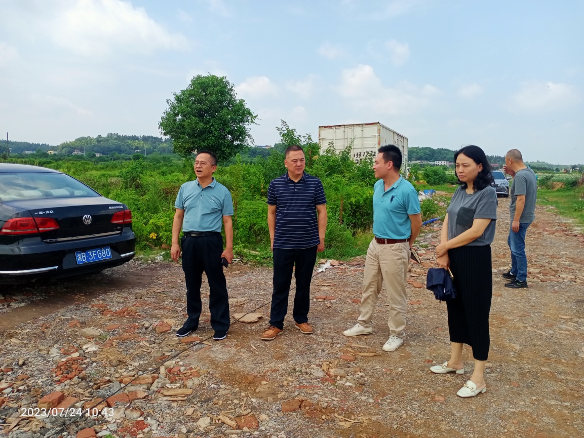 市自然资源和规划局督导组督导天元区督察问题整改暨“三湘护农”工作