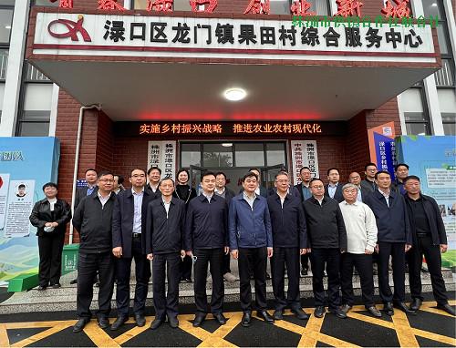 成立村级供销社,提升能力服务乡村振兴