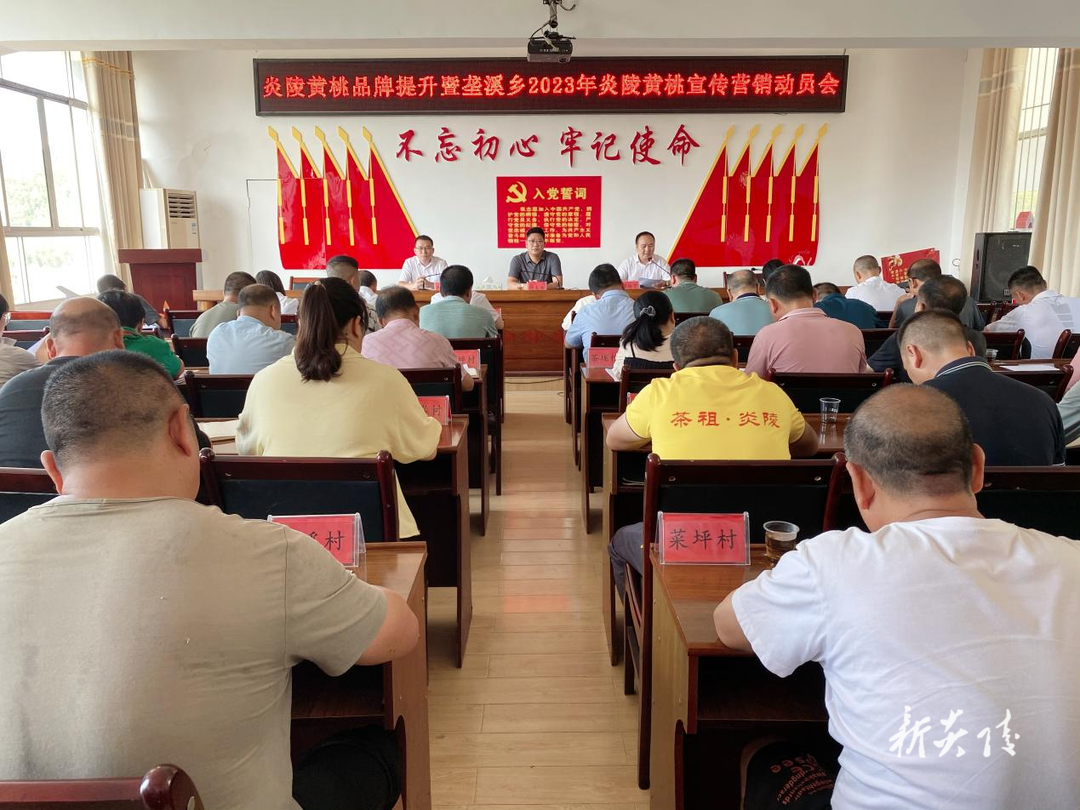 垄溪乡召开炎陵黄桃宣传营销动员大会