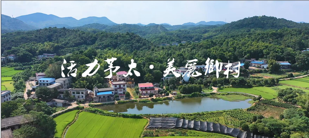 挖掘特色乡土文化 留住株洲乡愁记忆——学习浙江"千万工程"启示
