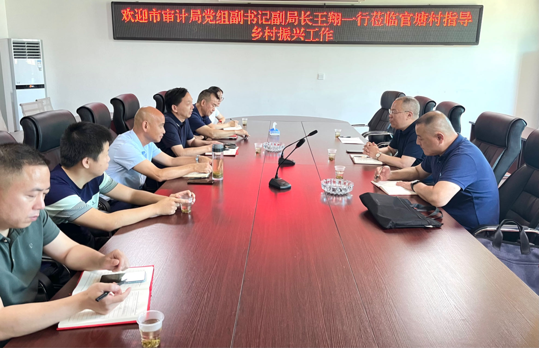 市审计局深入调研官塘村 履职为民推动乡村振兴