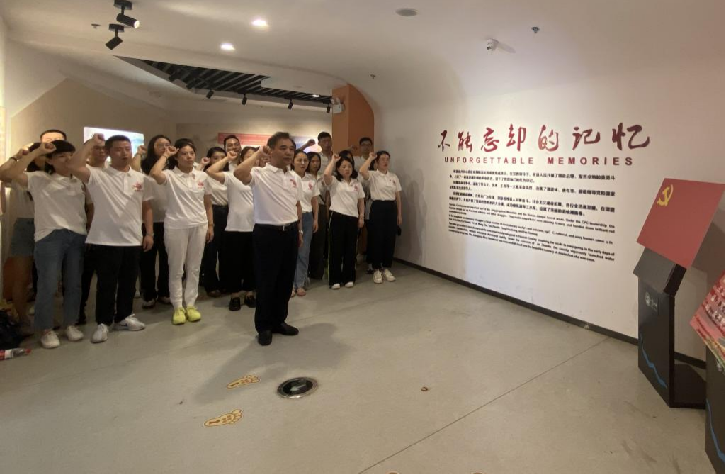 攸县审计局开展庆“七一”党建活动