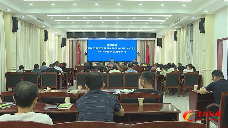 下东街道党工委理论学习中心组(扩大)开展2023年第六次集中学习
