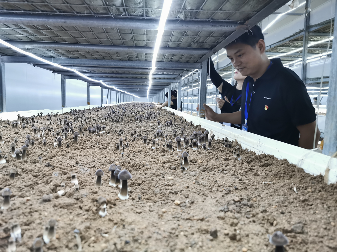 【作风建设年】充电蓄能炼本领 强筋锻骨再出发——株洲高新区、天元区两委干部和基层骨干培训班（第二期） 结业！