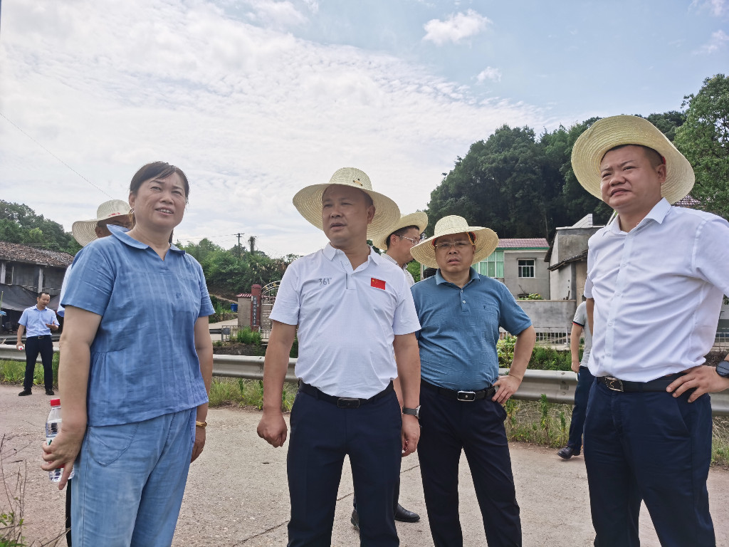 李晓彤调研古岳峰镇集中供水站、高标准农田建设等近期重点工作