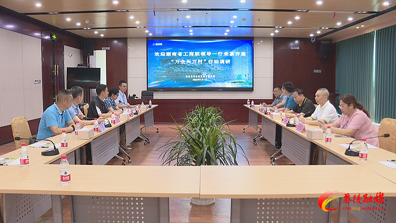 湖南省工商联来茶调研“万企兴万村”工作