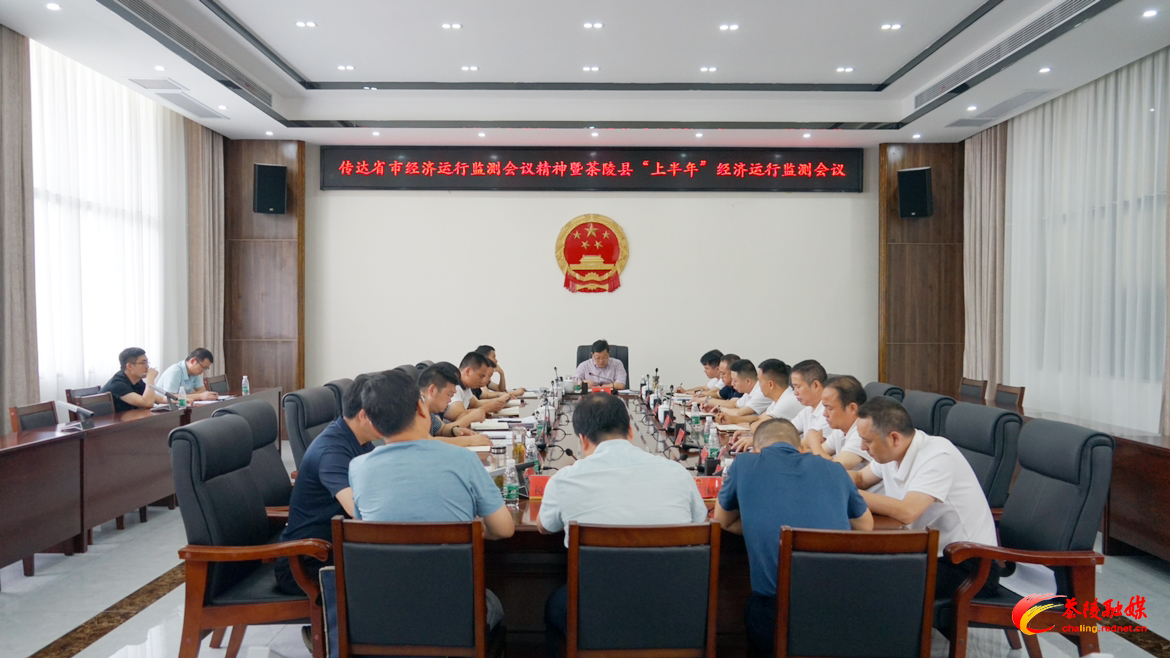茶陵县“上半年”经济运行监测会议召开