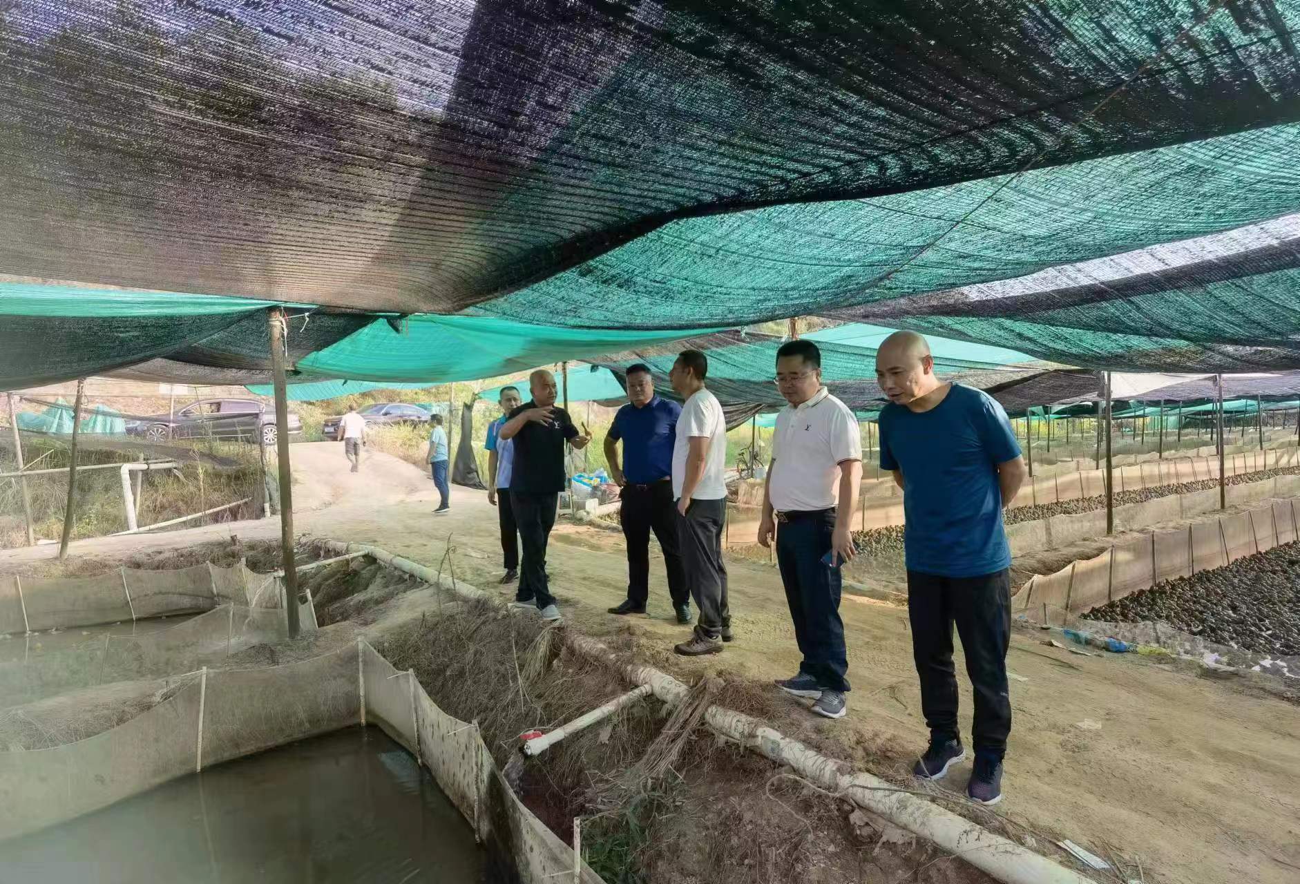 以督促改 以查促进——​市资规局加快推进自然资源督察问题整改