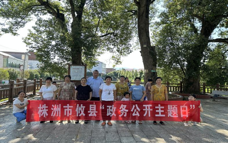 春联街道:“攸县政务公开主题日活动”,建设阳光服务型政府