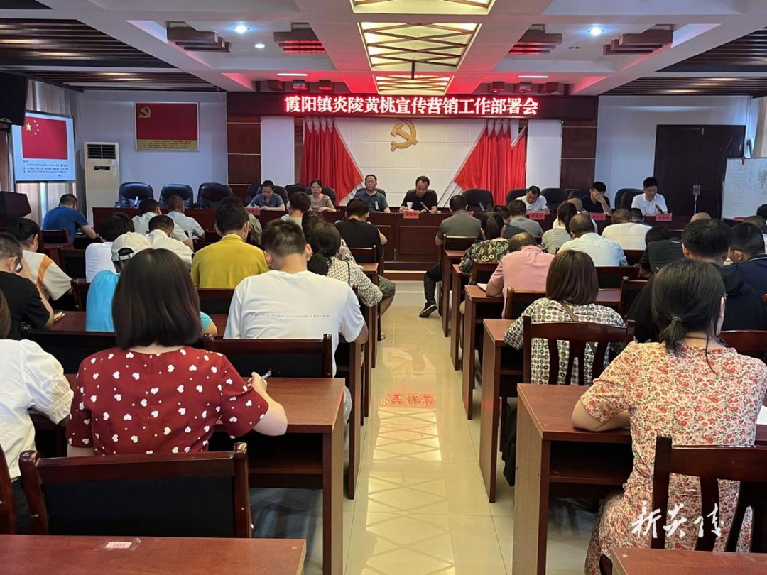 霞阳镇：全力以赴 做好黄桃销售保障工作