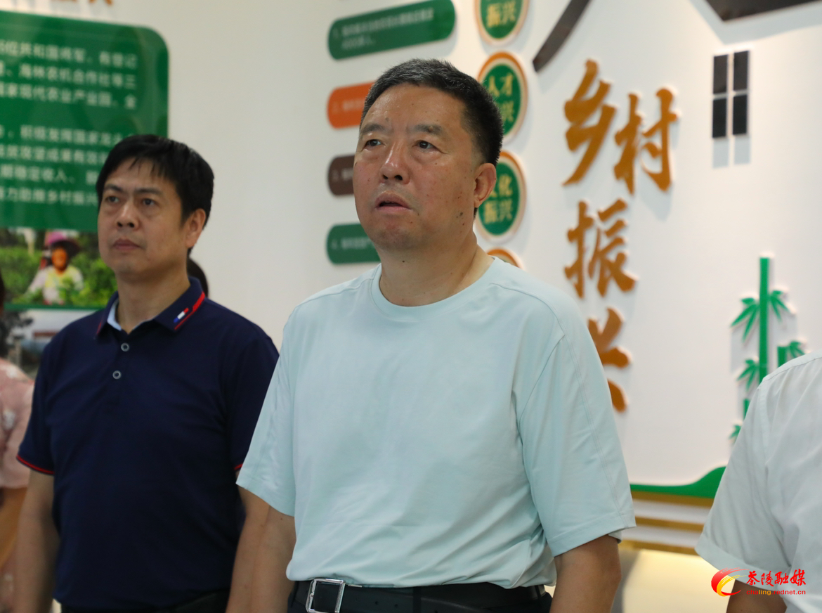 毛万春来茶调研
