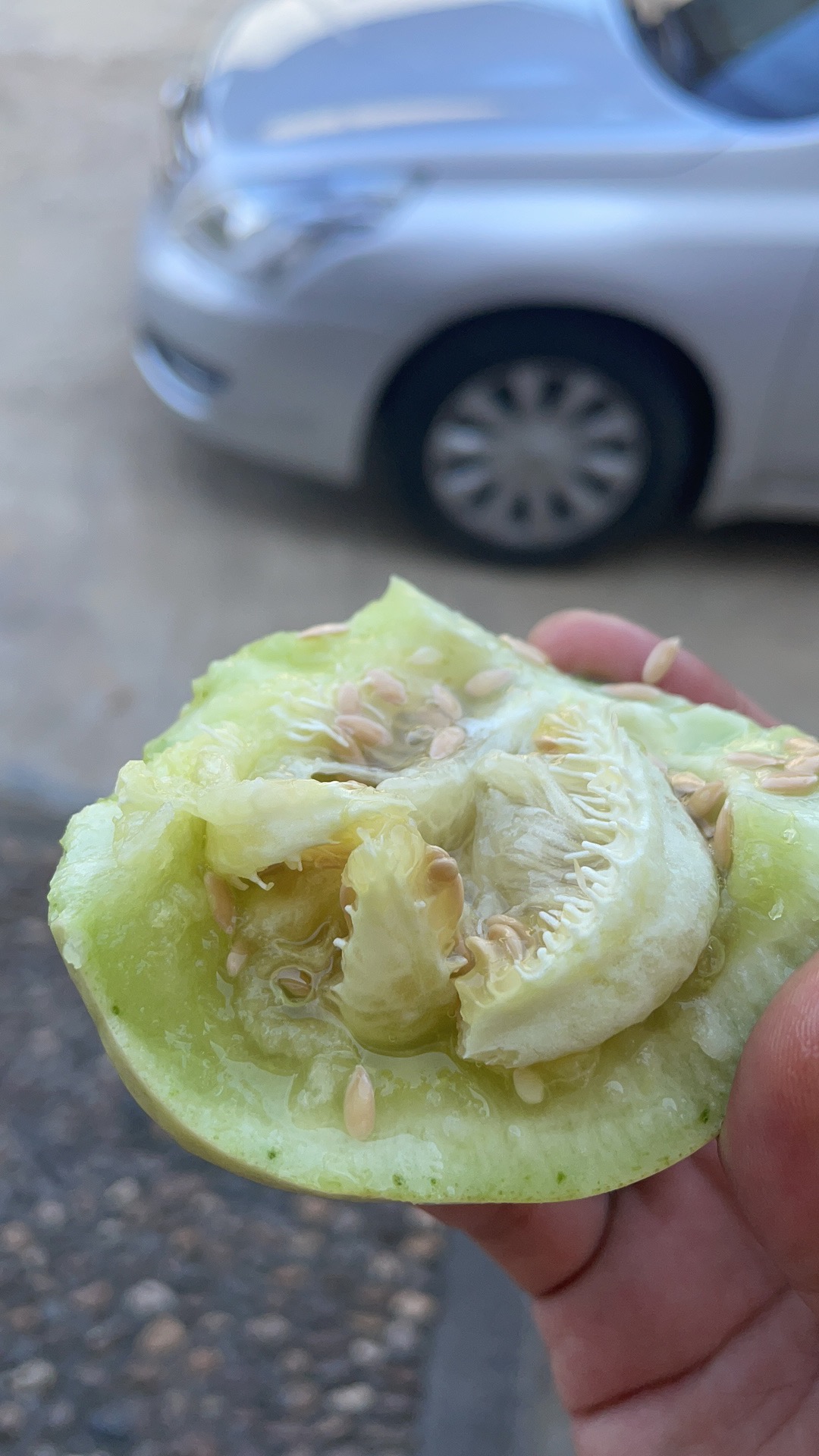 区农业农村局：夏日助农送清凉