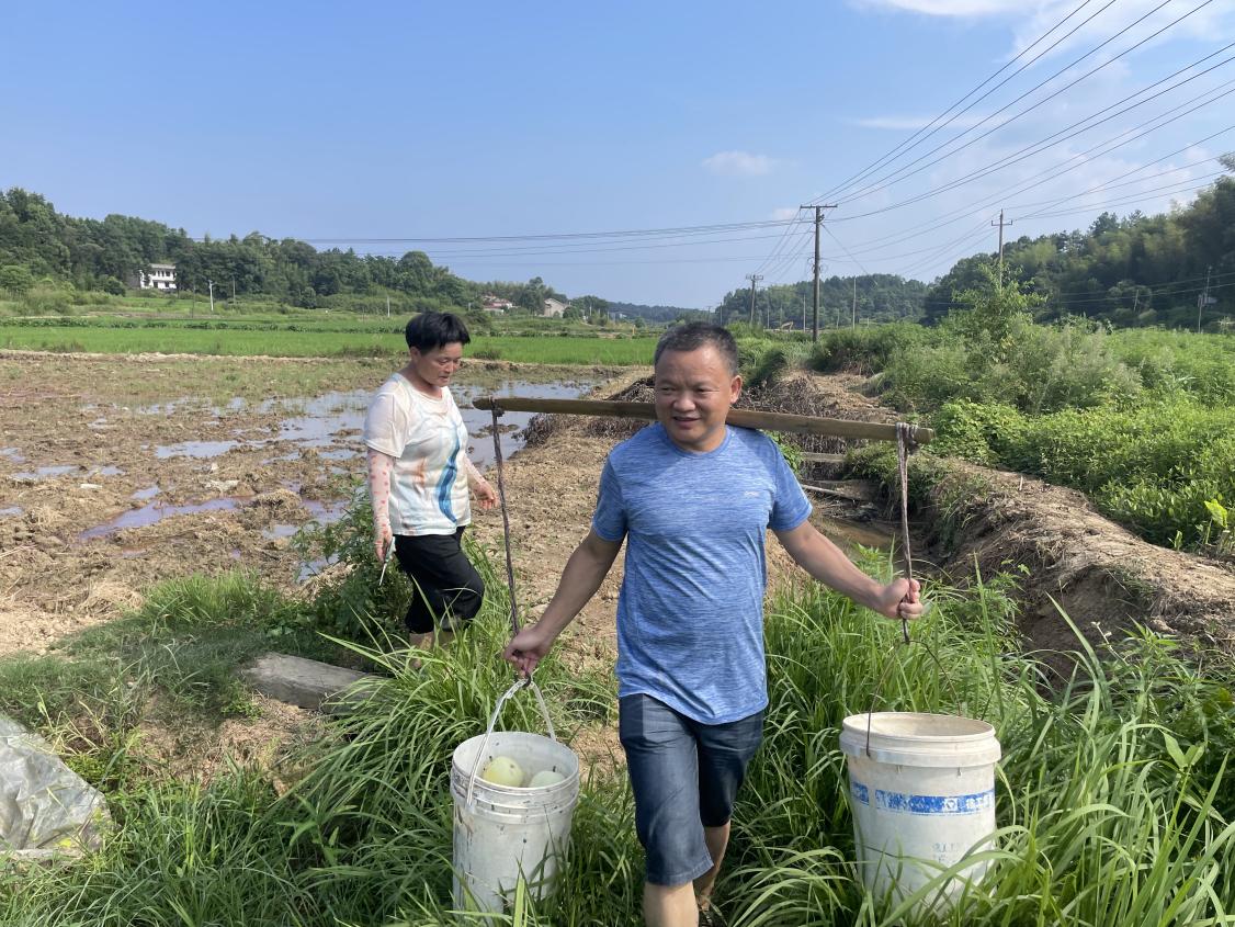 区农业农村局：夏日助农送清凉