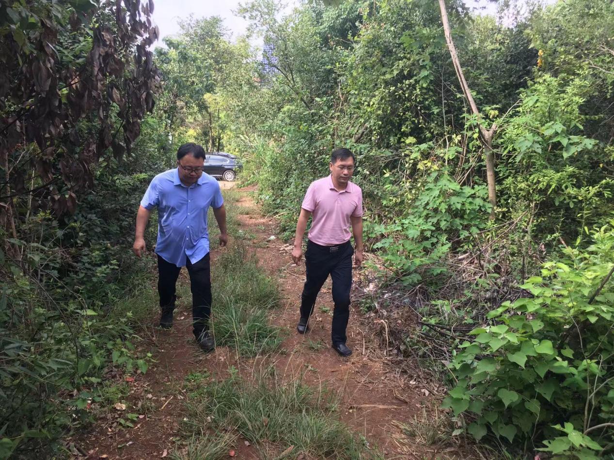 株洲各地部署中元节期间森林防火工作