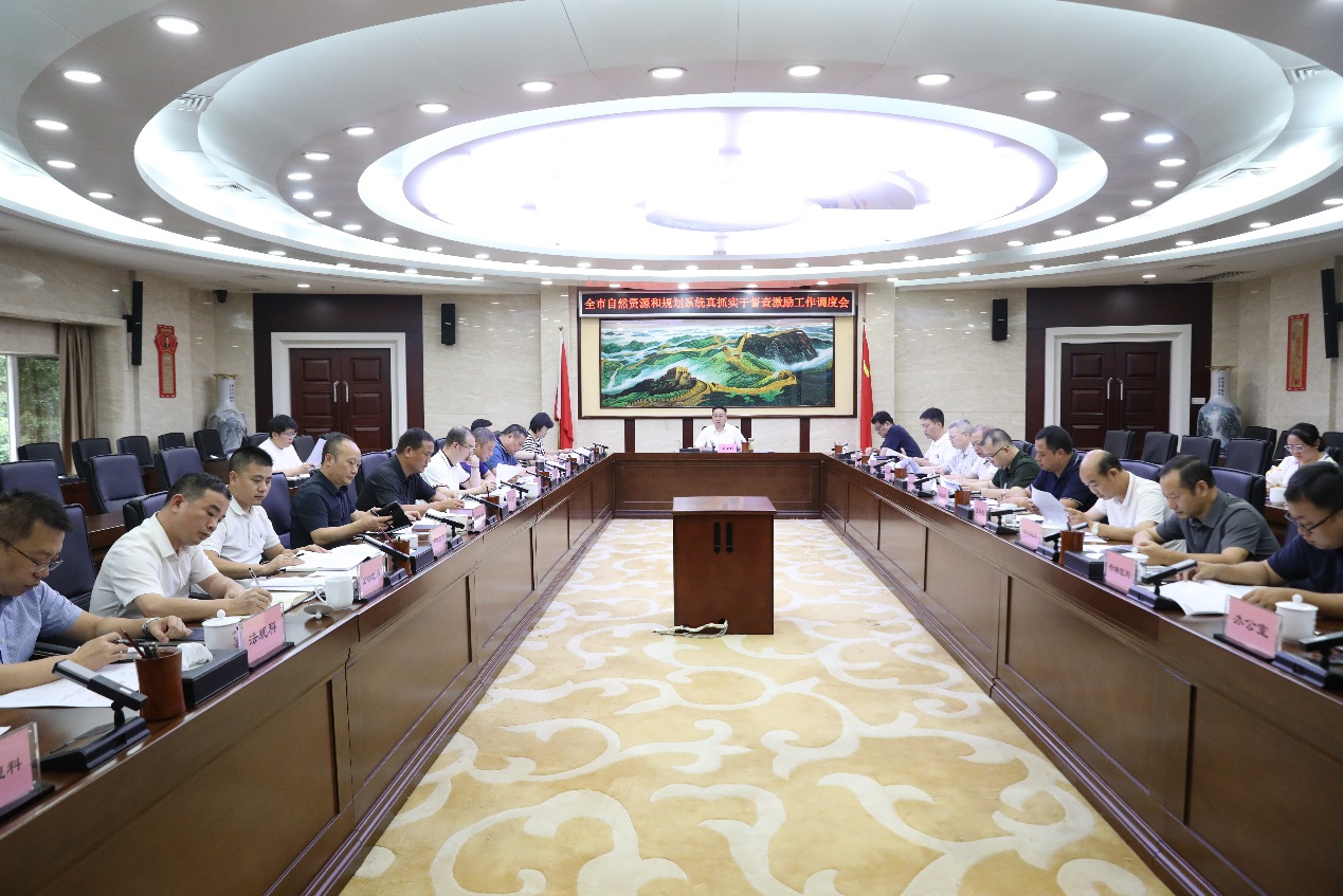 徐业伟主持召开全市资规系统真抓实干督查激励工作调度会