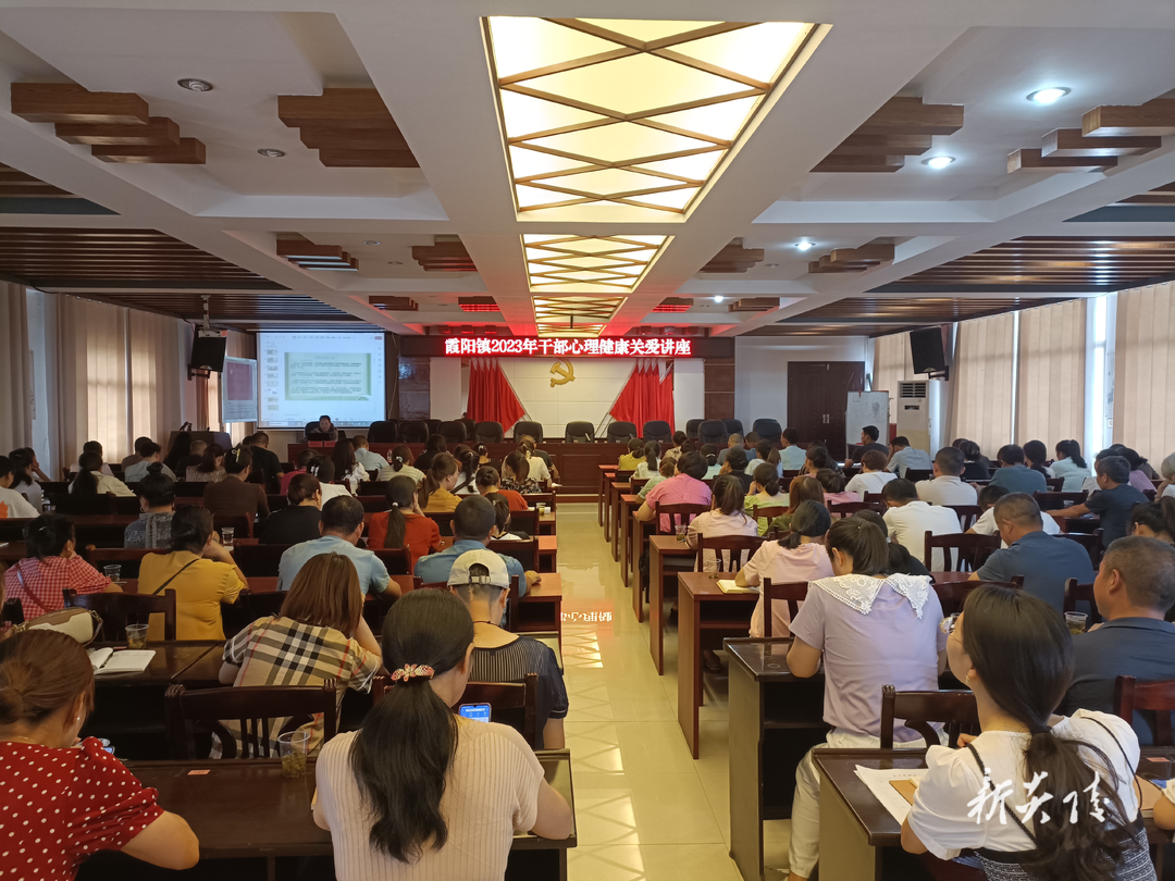霞阳镇开展公务礼仪和心理健康关爱讲座