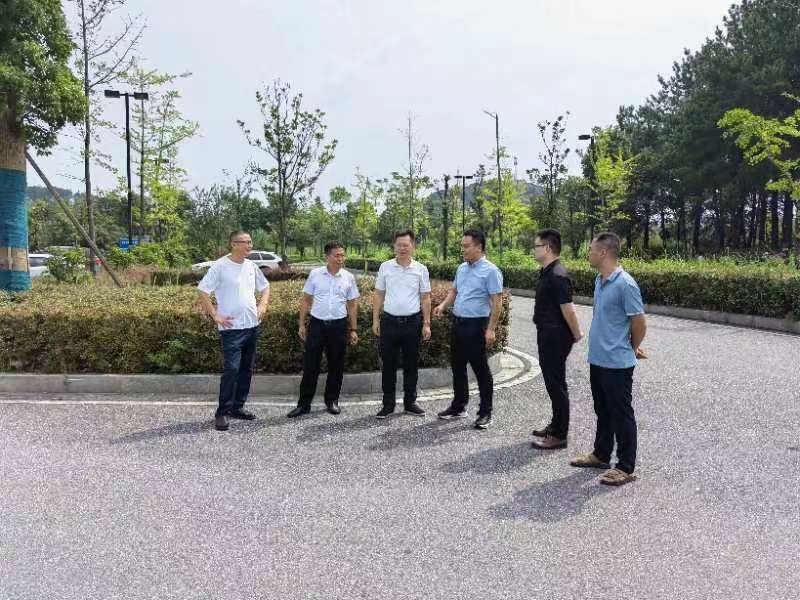  株洲开展林长制重点问题专项督查