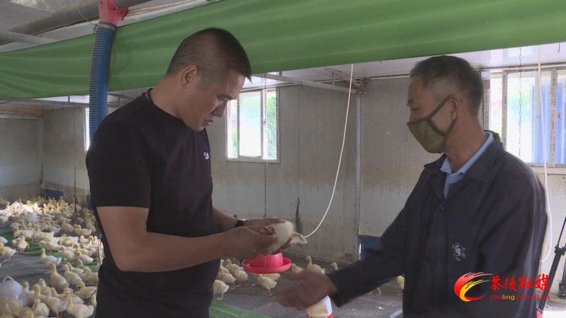 茶陵２人上榜2023年第二季度“株洲好人榜”