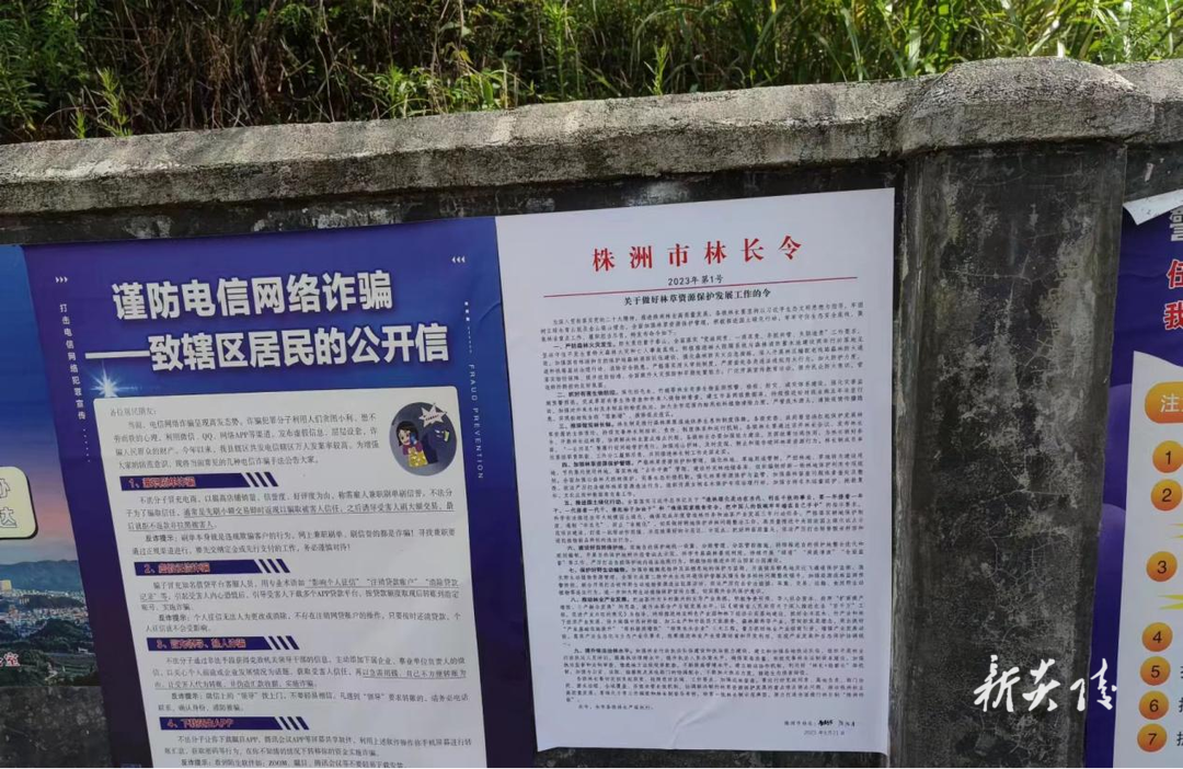 沔渡镇：严防严控不松懈 森林防火筑屏障