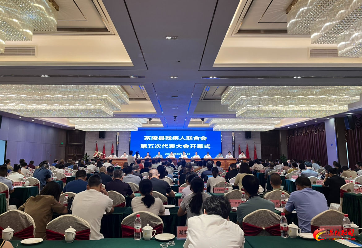 茶陵县残疾人联合会第五次代表大会召开