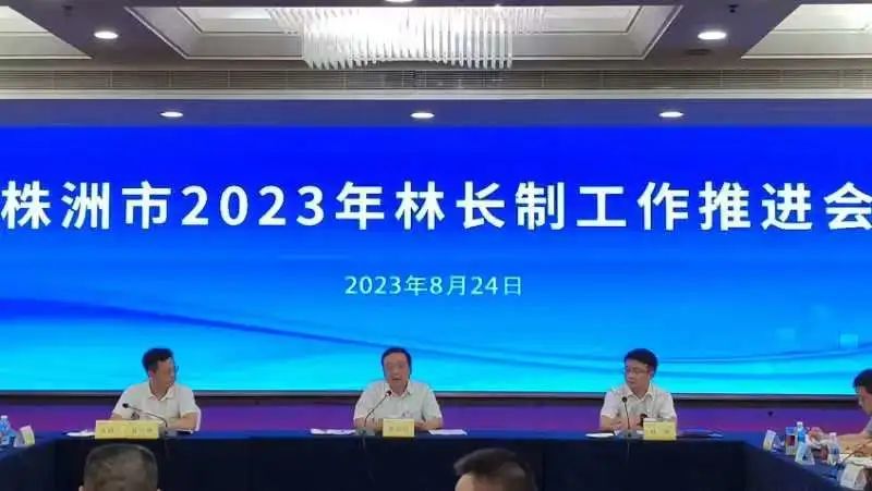 精准发力 让林长制有实有效