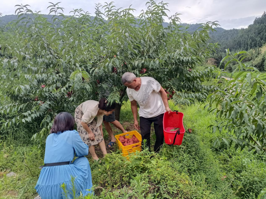 基层动态