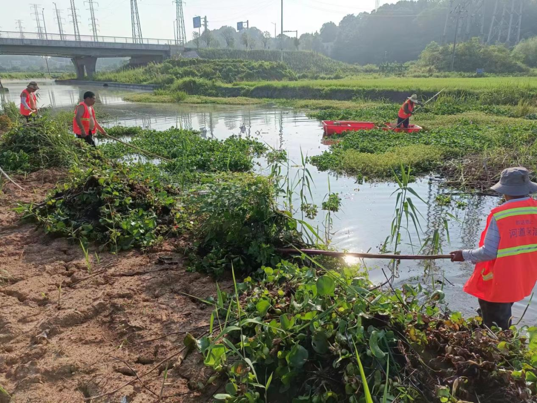 部门联动齐发力，守护“河道健康”