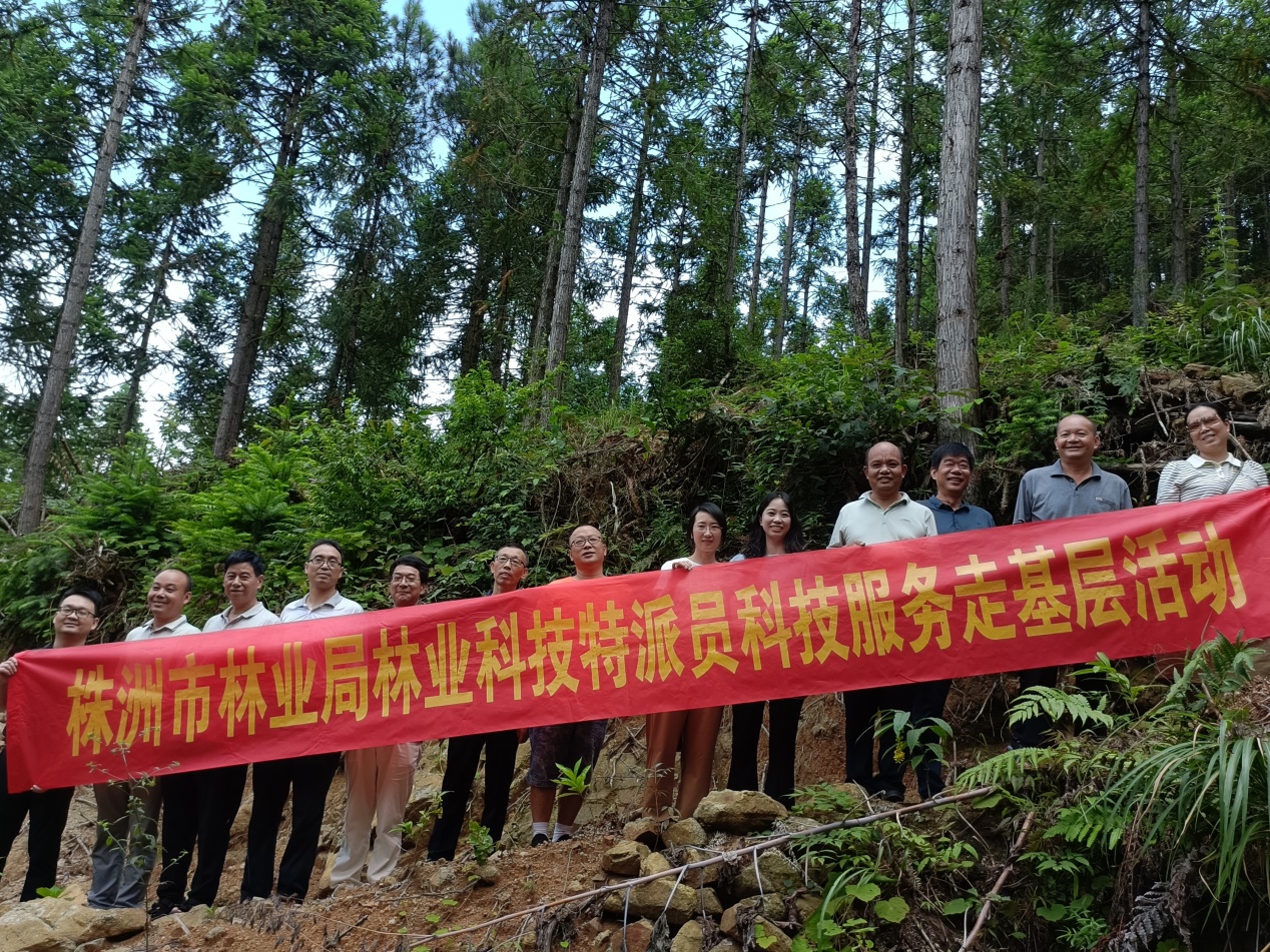 市林业局召开2023年湖南省林业科技特派员科技服务项目中期评价会