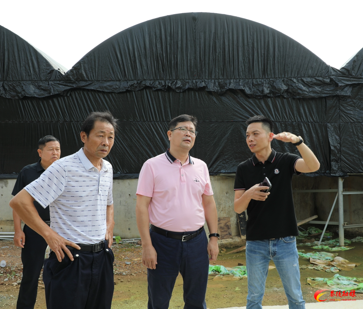 杨红兵到枣市镇调研工作