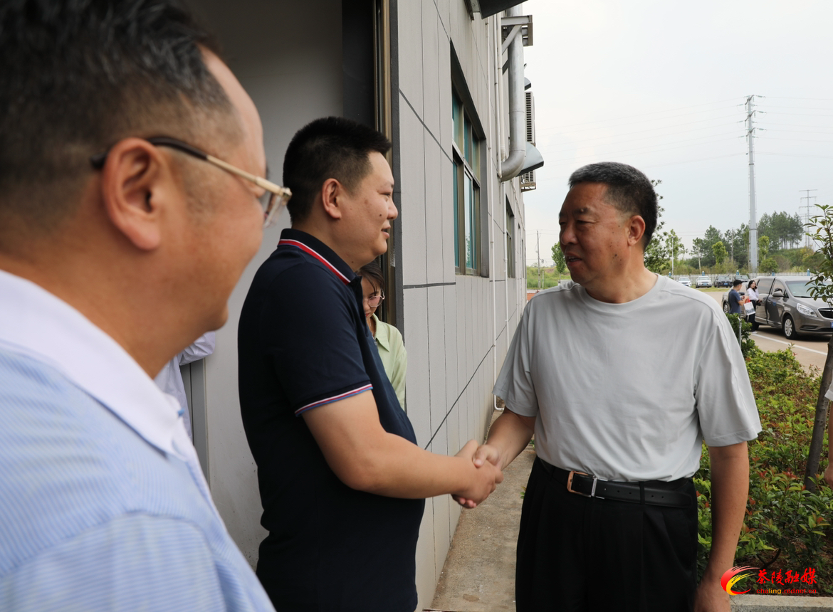 毛万春来茶调研
