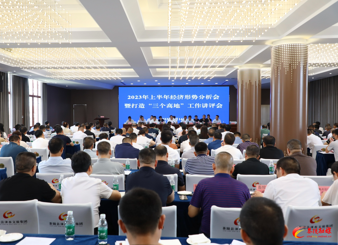 2023年茶陵县上半年经济形势分析会暨打造“三个高地”工作讲评会召开