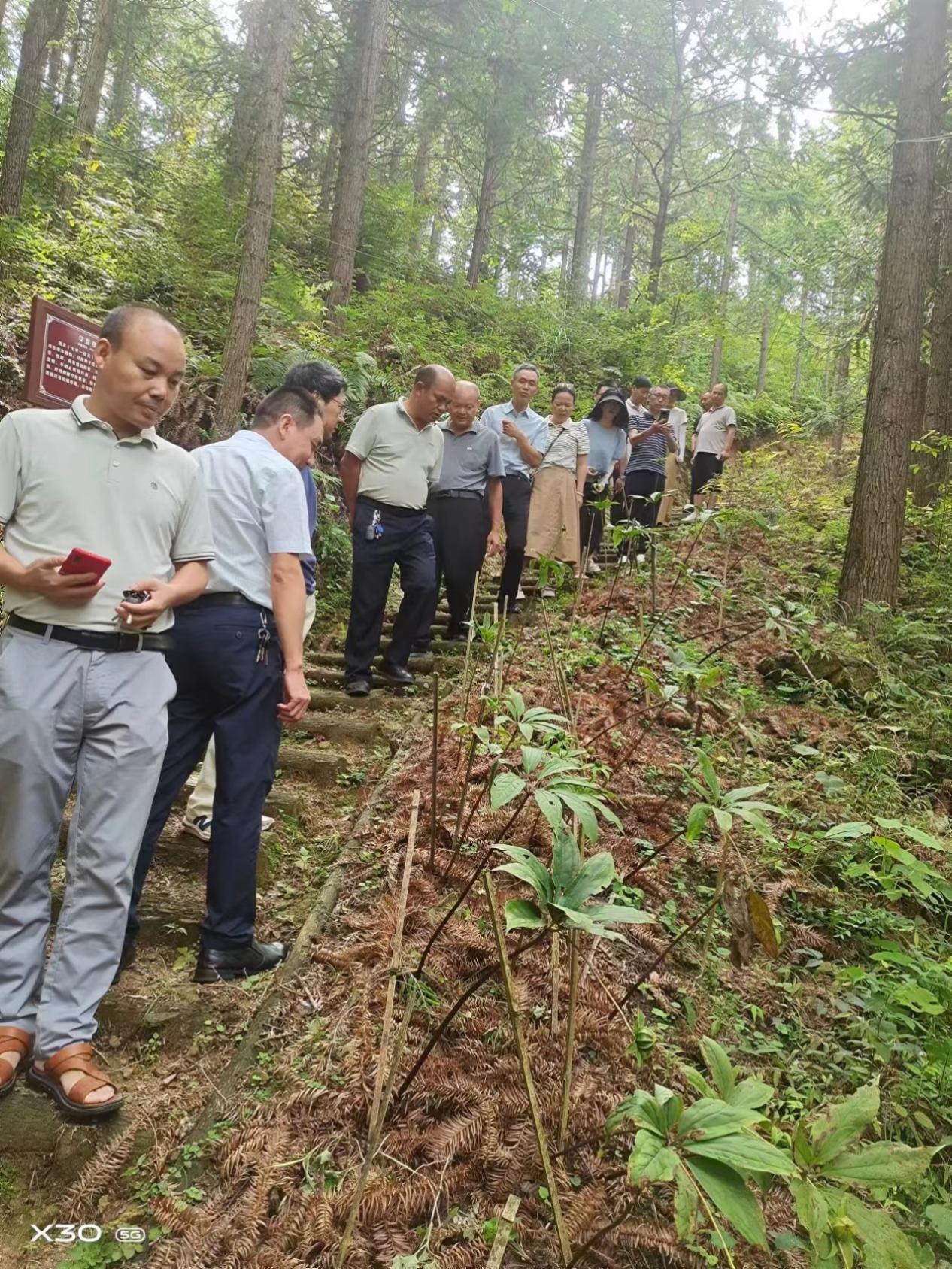 市林业局召开2023年湖南省林业科技特派员科技服务项目中期评价会