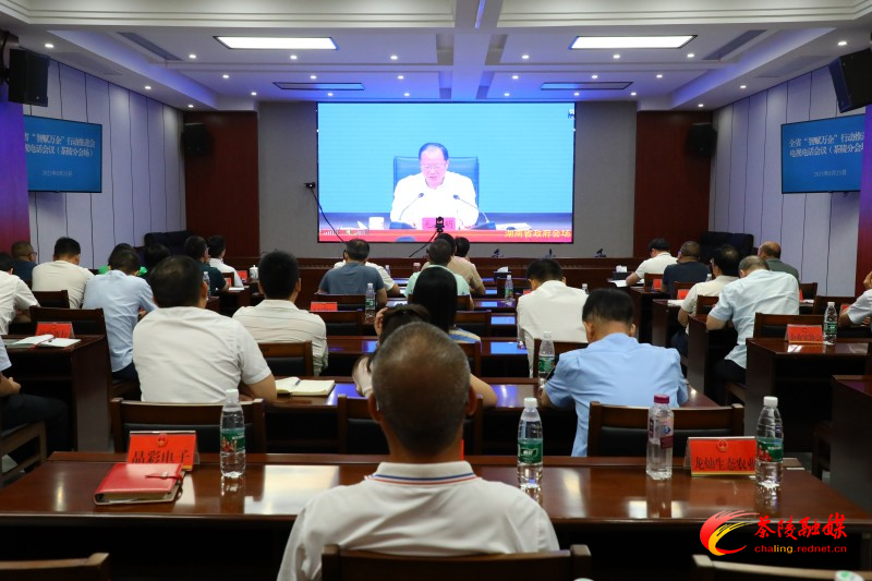 茶陵县组织收听收看全省“智赋万企”行动推进大会电视电话会议