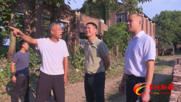 长沙市人民政府副市长高文棋一行来茶调研