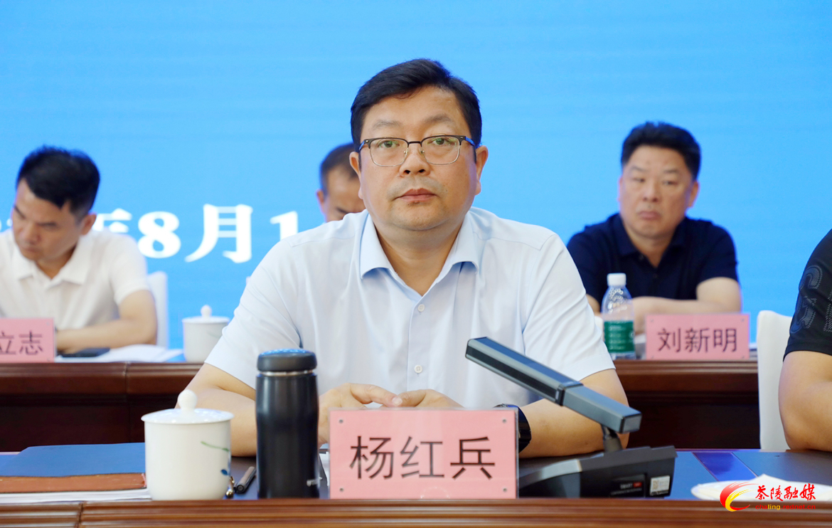 2023年茶陵县上半年经济形势分析会暨打造“三个高地”工作讲评会召开