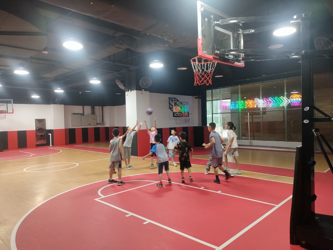 “新区童行” 走“新”入“心” 点亮青少年缤纷假日