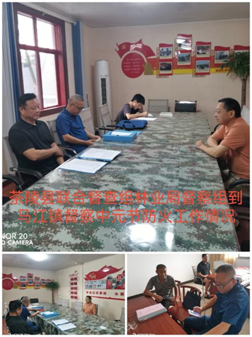 株洲各地部署中元节期间森林防火工作