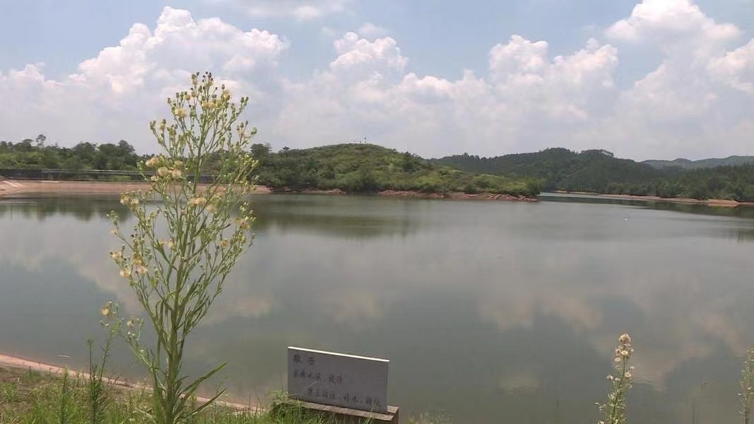 攸县：降水总体偏少 各地积极蓄水保水