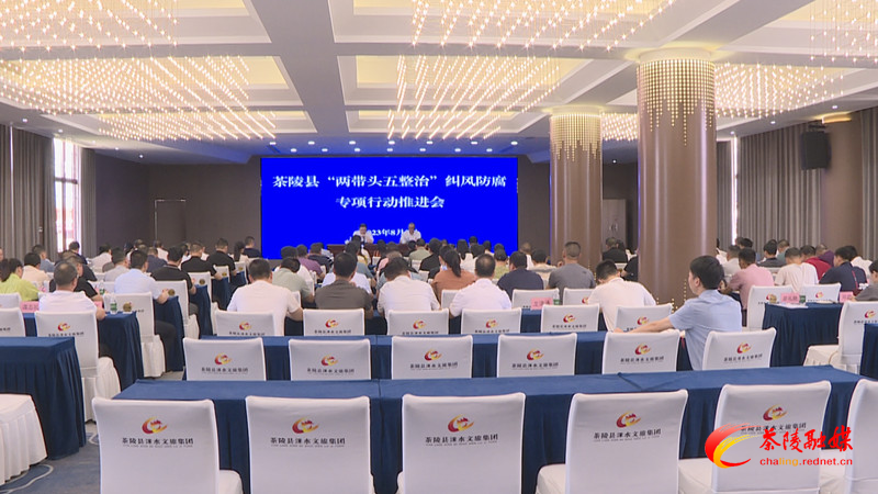 茶陵县推进“两带头五整治”纠风防腐专项行动