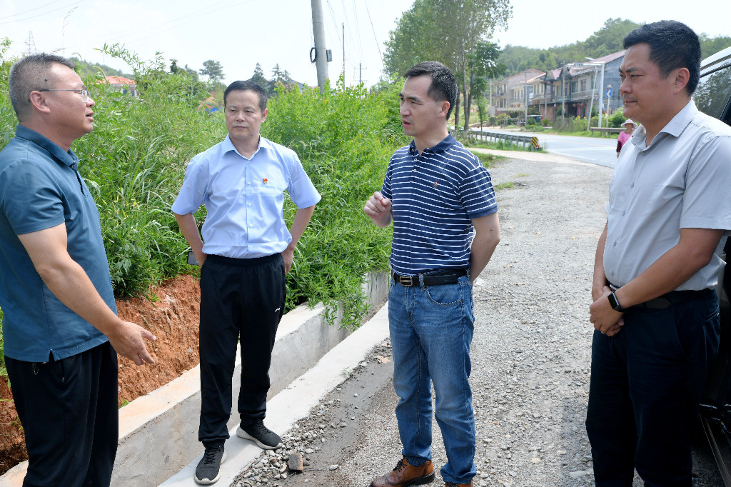 钟勇军一行调研茶陵公路重大事故隐患排查整治工作