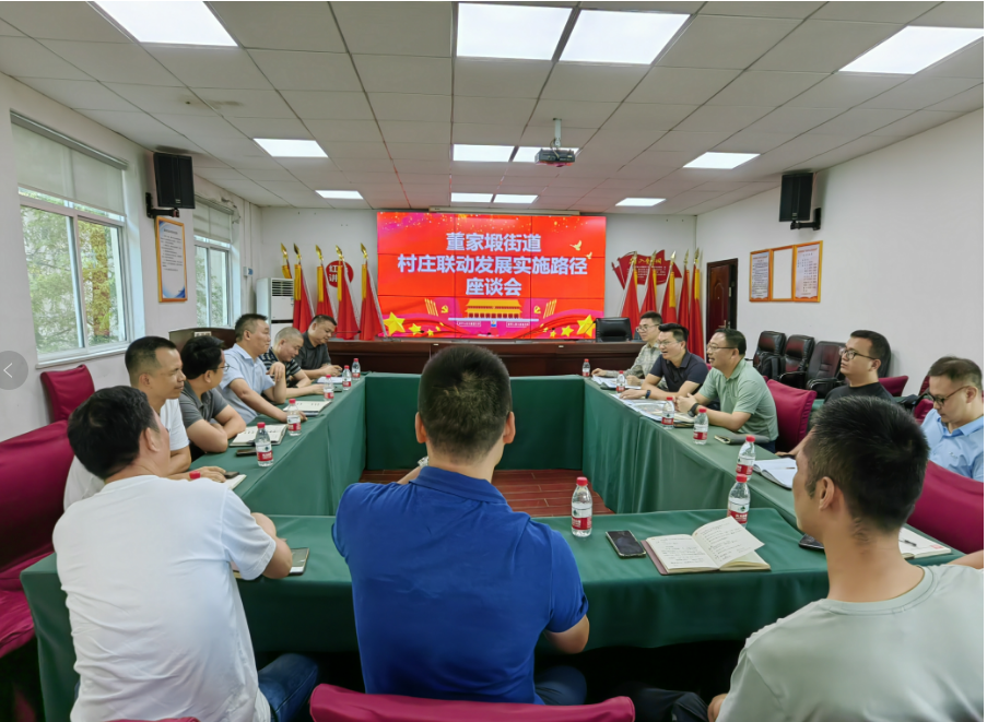 中惠农科技集团一行到董家塅街道交流村庄联动发展实施路径经验做法