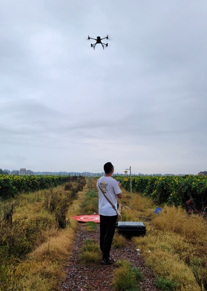 市资规局组织开展粮食种植与耕地抛荒面积监测