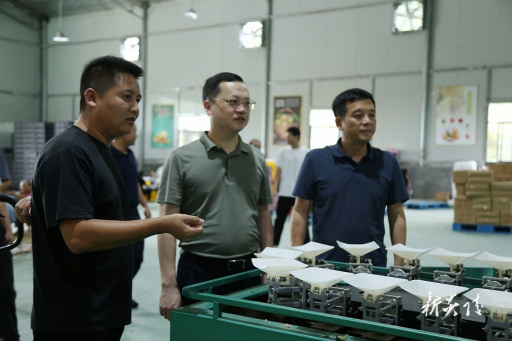 夏胜利调研黄桃产业链发展