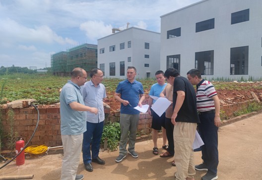 深入实地现场 推进问题整改——市资规局持续开展自然资源例行督察