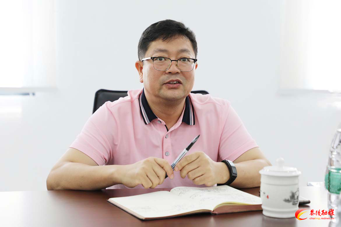 杨红兵到枣市镇调研工作