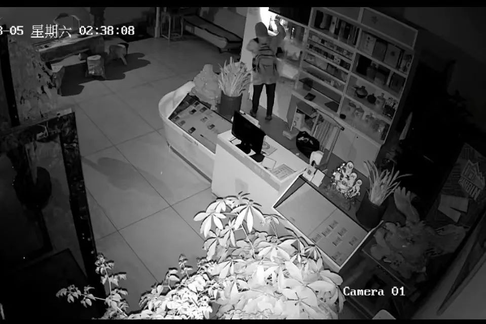 【夏季治安打击整治行动】盗贼疯狂作案被抓,商铺老板竟帮忙“销赃”?严惩!