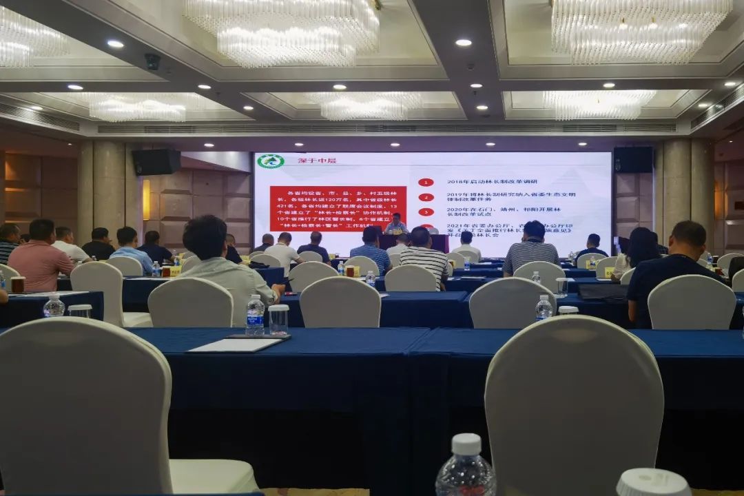 精准发力 让林长制有实有效