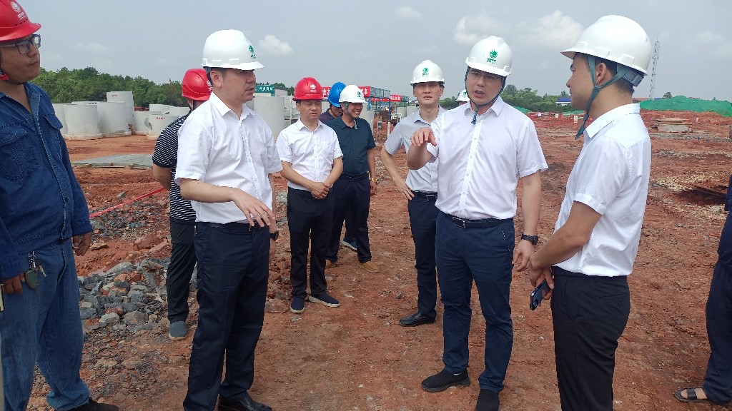 武挪强督导全县“双碳”电网项目建设